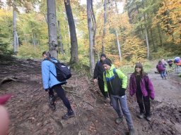 56006053212824030403543085915377212731837276n